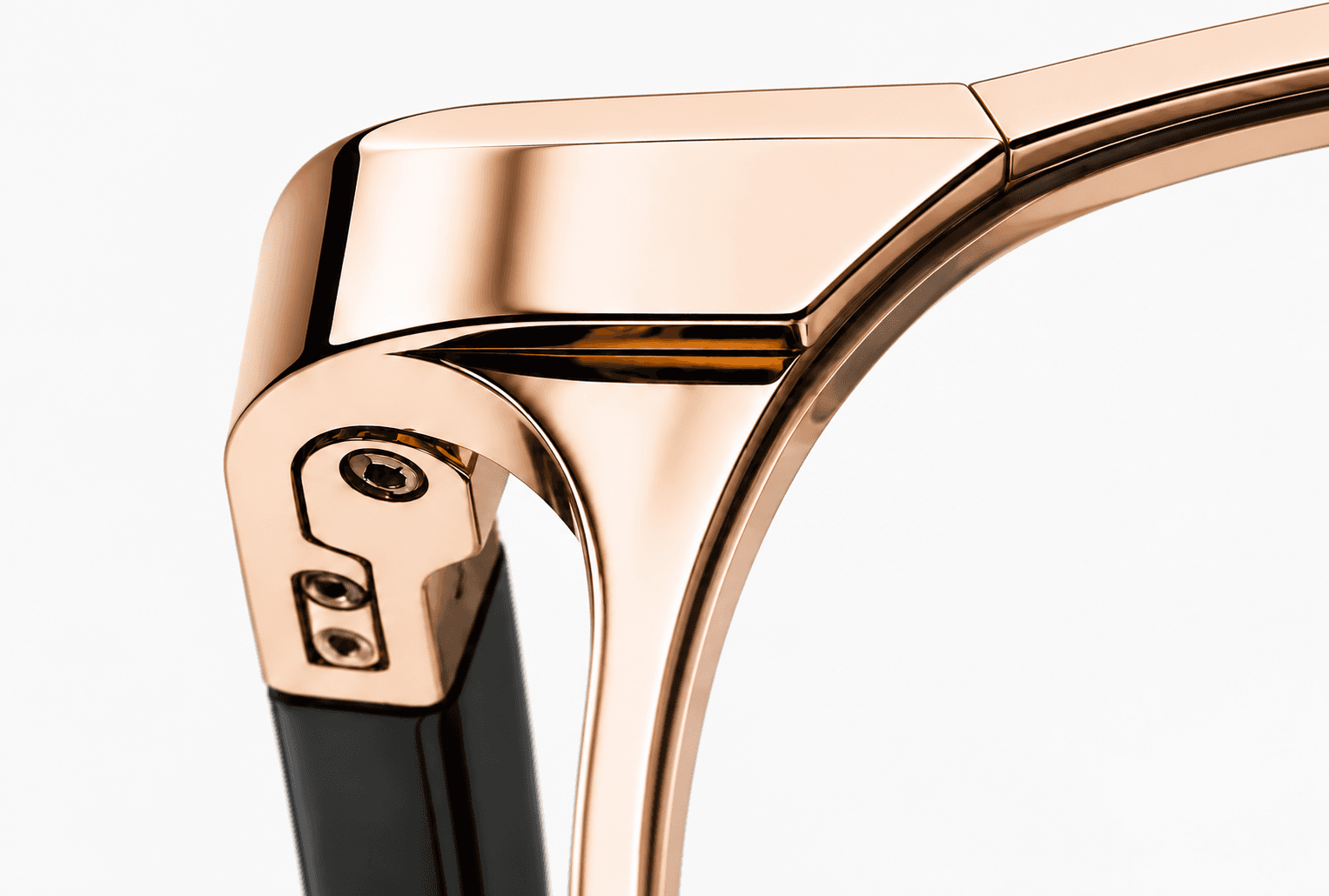 Detail of a Lenshero frame hinge